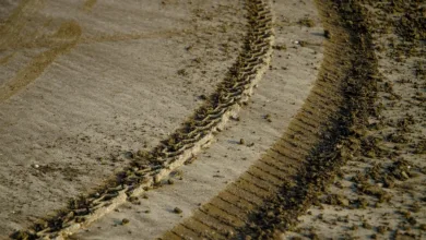 XRP-Kurs durchbricht Marke: Was steckt hinter dem Aufschwung?