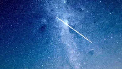 Galaxy Digital revolutioniert Krypto-ETFs mit In-Kind-Funktionen