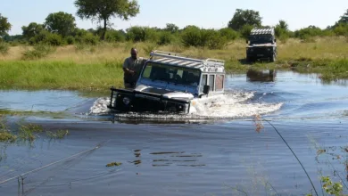 Kryptowährungs-Kriminalität 2025: Rekordverluste und Trends