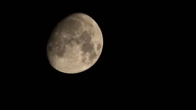 Ethereum-Kurs: Zunehmende Skepsis bei Anlegern und Whales