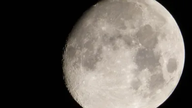 Krypto-Stimmung hellt sich auf: Bitcoin über 97.000 Dollar