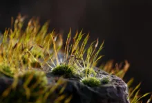 Bybit beleuchtet neue Trends im Kryptomarkt 2026