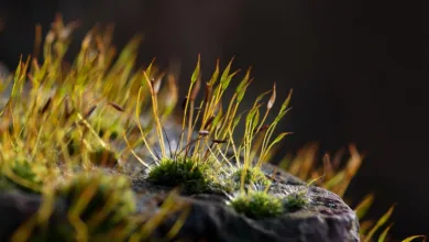 Bybit beleuchtet neue Trends im Kryptomarkt 2026