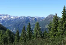 XRP-Kurs unter 2 USD: Analysten sehen Chancen zur Erholung