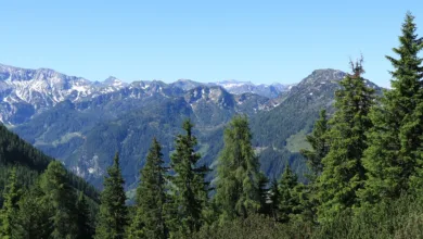 XRP-Kurs unter 2 USD: Analysten sehen Chancen zur Erholung