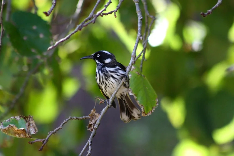 Solana s Stablecoin-Boom: Ein neues Kapital für die Zukunft