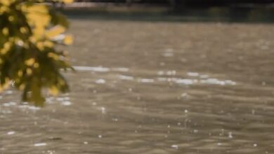 Der Krypto-Ausblick 2026: Trends und Chancen im Fokus