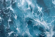 Polygon: Eine praxisnahe Lösung für Ethereum-Fans in der Region