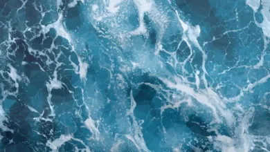 Polygon: Eine praxisnahe Lösung für Ethereum-Fans in der Region