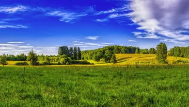 Optimistische Ausblicke: Ripple-CEO sieht Kryptomarkt im Aufschwung