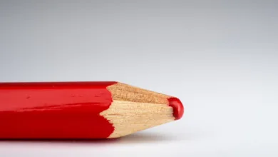 Krypto-Märkte im Umbruch: Liquidationen schaffen Chancen