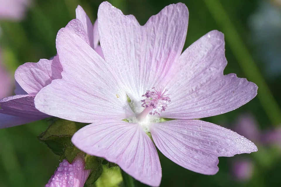 Elon Musk: Rekord-Vermögen und turbulente Zeiten im Blick