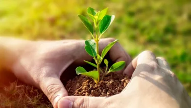 Krypto-Startups wachsen stark: 362 Millionen Dollar in einer Woche