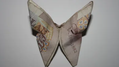 Mutuum Finance: Ein frisches Konzept für Krypto-Kredite