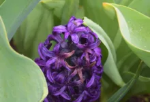 DMG Blockchain: Verstecktes Potenzial oder Risiken für Anleger?