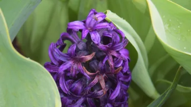 DMG Blockchain: Verstecktes Potenzial oder Risiken für Anleger?