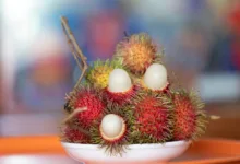 Robinhood zieht fortgeschrittene Krypto-Trader an