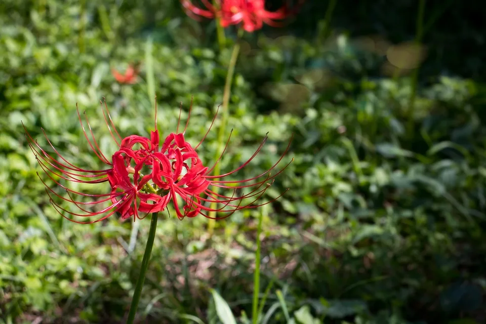 Bitcoin zeigt Stärke: Strategische Käufe trotz Marktsorgen