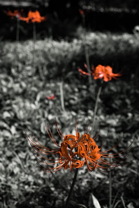 Nasdaq 100: Auf dem Weg zum Rekordhoch durch starke Gewinne