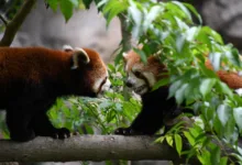 Streit um Krypto-Regulierung: Banken und Branche im Konflikt