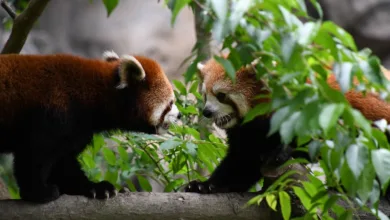 Streit um Krypto-Regulierung: Banken und Branche im Konflikt