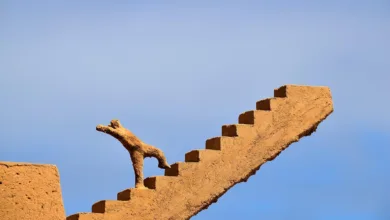 Krypto 2026: Chancen und Hürden für Investoren im Blick