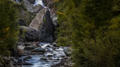 Bitcoin-Kurs fällt: Globale Spannungen erschüttern den Markt