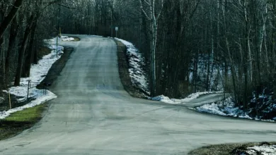 Könnte 2026 die Wende für Altcoins bringen? Ein Ausblick