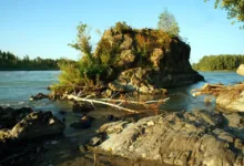 DZ Bank eröffnet Genossenschaftsbanken den Krypto-Handel