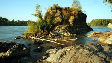 DZ Bank eröffnet Genossenschaftsbanken den Krypto-Handel