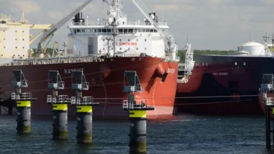 Bitcoin-Kurs steigt auf über 80.000 Euro – Stimmung kippt negativ