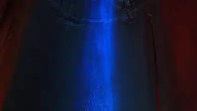 Bitcoin fällt unter 91.000 US-Dollar: Liquidationen steigen dramatisch