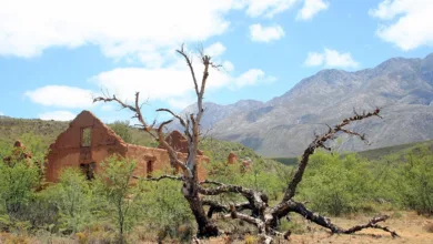 Die Diskrepanz zwischen gefühlter und gemessener Inflation