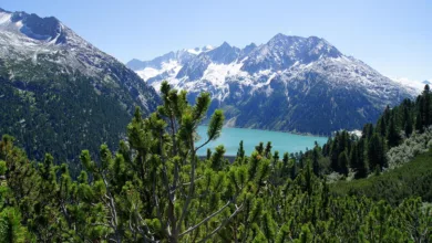 Klarheit und Sicherheit: MiCA reformiert Krypto-Markt in Europa