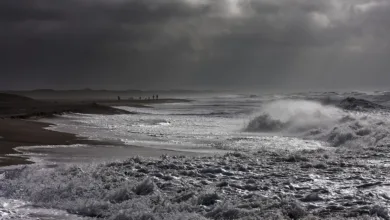 Kursentwicklung des Coins Surge: Korrektur oder Aufschwung?