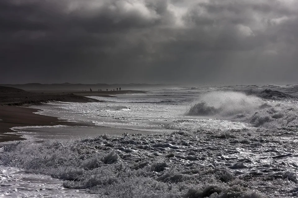 Kursentwicklung des Coins Surge: Korrektur oder Aufschwung?