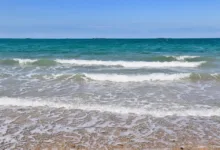 Krypto-Transformation: Warum Bitcoin jetzt unverzichtbar ist