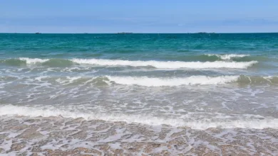 Krypto-Transformation: Warum Bitcoin jetzt unverzichtbar ist