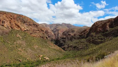 Bitcoin-Kurs im Aufwind: Experten sehen Potenzial bis 175.000 Dollar