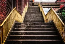 Meme-Coins im Aufstieg: Die Zukunft des Gehalts?