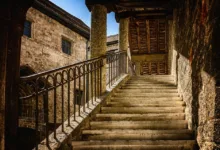 BONK: Der Aufstieg eines Meme-Coins in die Finanzwelt