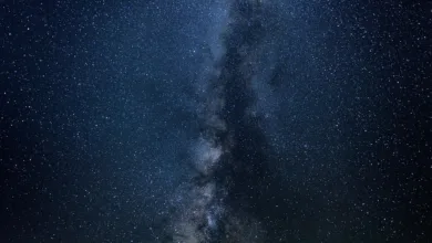 Gemini Space Station: Ein neuer Weg für Krypto-Regulierung