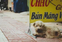 Krypto-Zahlungskarten: Ein neuer Trend im Alltag der Nutzer