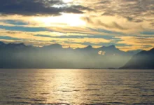 Solana Mobile: SKR-Airdrop belohnt aktive Nutzer nachhaltig