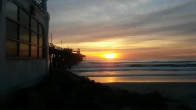 Bundesbank setzt Maßstäbe bei tokenisierten Anleihen in Deutschland