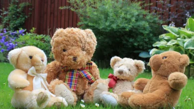 Krypto-Jahr 2025: Die besten Geschichten im Rückblick