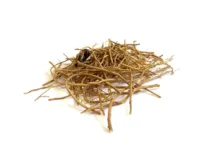 mBridge: Chinesische Digitalwährung revolutioniert Zahlungen