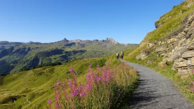 HBAR unter Druck: Kursrückgang oder erneute Erholung?