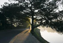 Ethereum und die Zukunft der Krypto-Banking-Landschaft in Asien