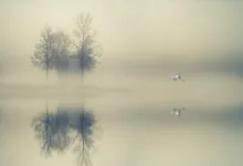 Die stille Kraft der Stablecoins im Krypto-Markt